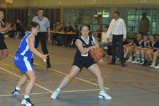 Basket